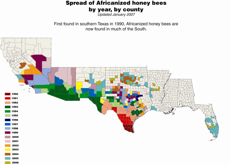 Africanized Honey Bees have spread in the southern United States.